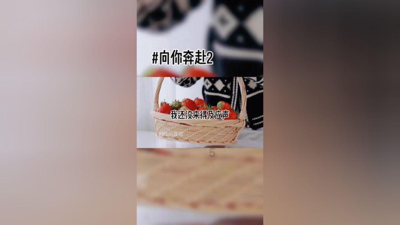 天鹅森林逃脱