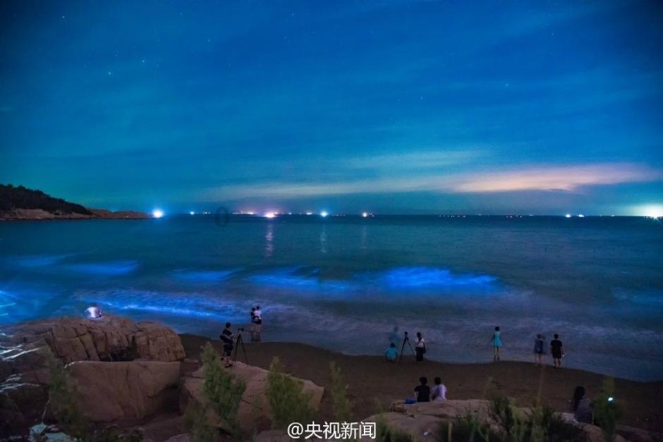 德古拉伯爵的住所
