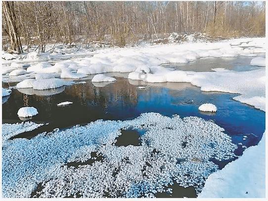 绥阳：抓住“鸡”遇  “00后”新农人逐梦乡村