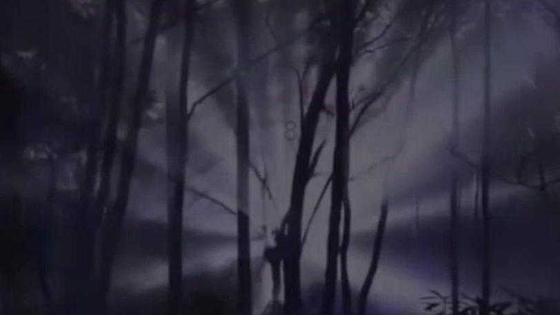 春雨直播app