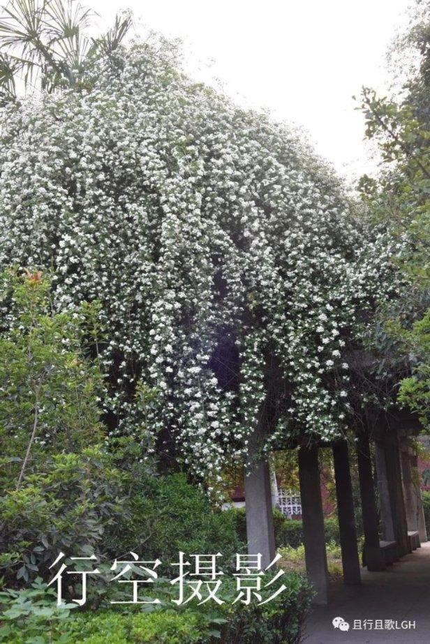 惊悚的万圣节拼图