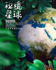 逃离狂热地带