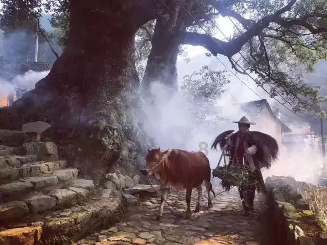 疯狂的麦克斯