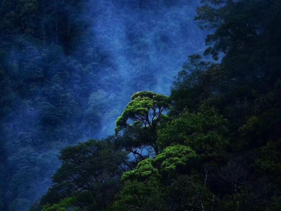 生化危机保护伞小队