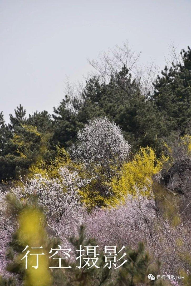 宁夏自治区邮政公司原总经理马赞福被公诉