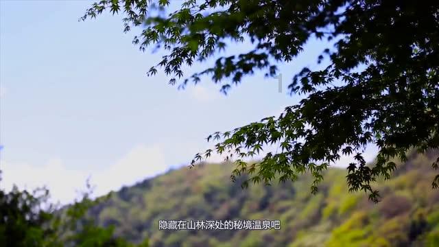 冰雪奇缘的梅花仙子:勇敢与坚韧的童话