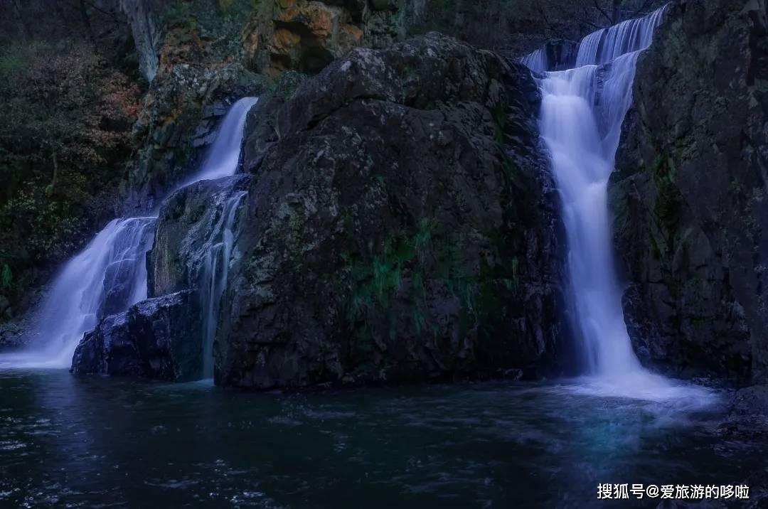 重生之玫瑰豪门