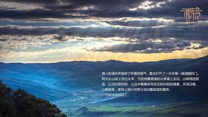 疯狂之冠