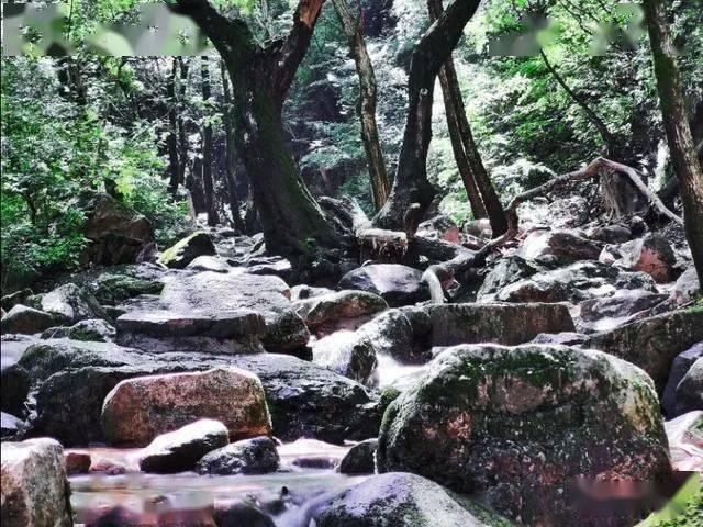 奔跑吧兄弟大冒险2