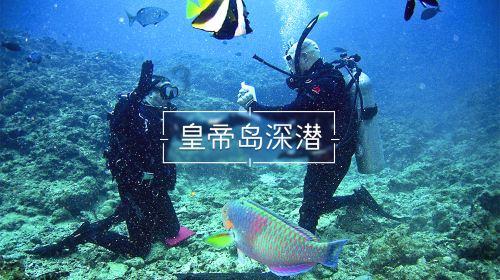深度解读英尺是多少米,发现你未知的秘密!