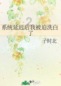 寂静森林找星星
