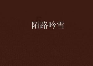 一个刚开始写小说的新人应该注意什么？