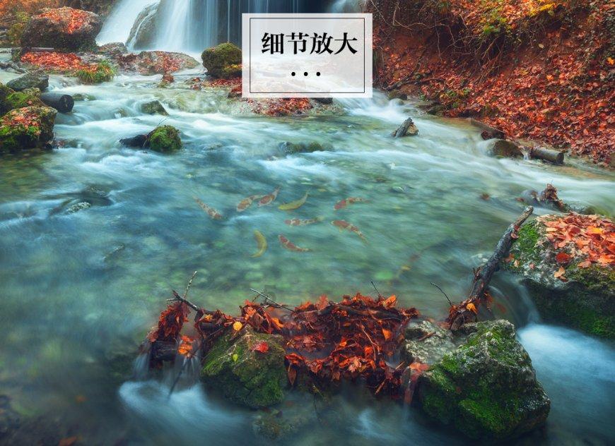 老妇人营救