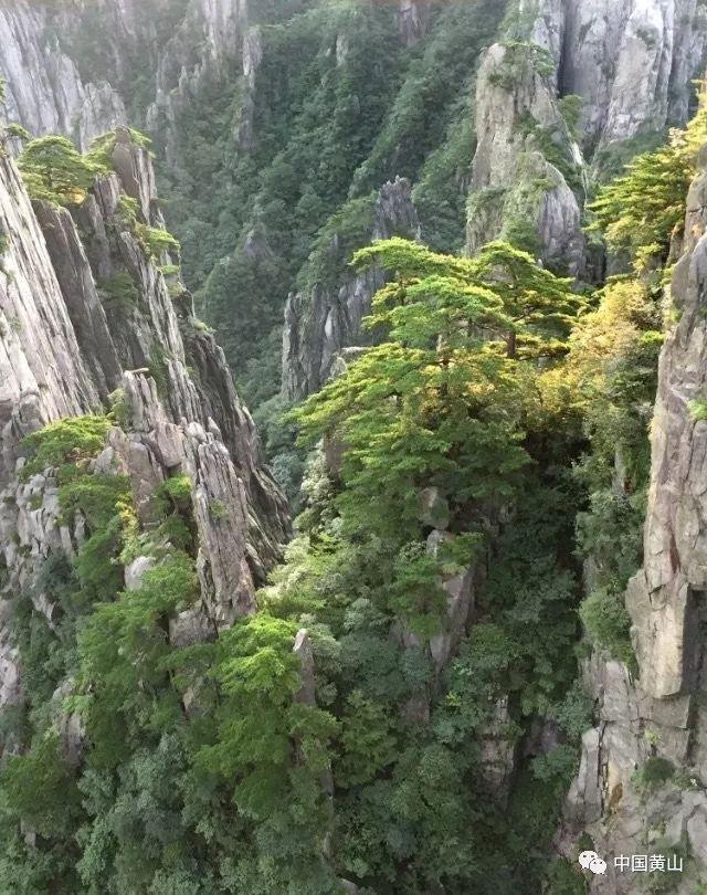 姑姑叫你去她家拿她的钱犯法吗游戏画面