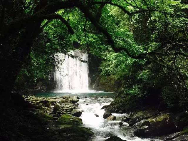 甜蜜糖果岛