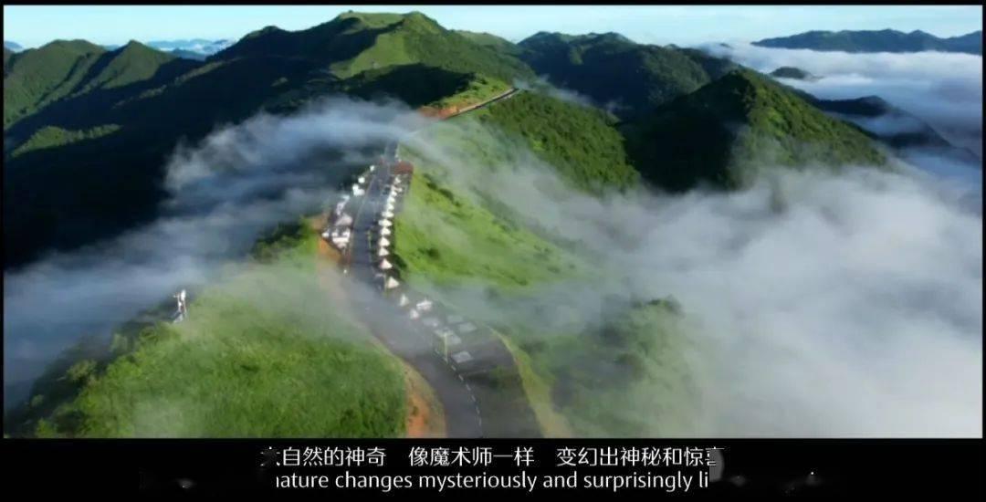 以军轰炸加沙南部和中部造成至少34人死亡