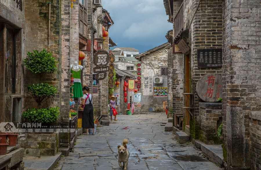 小艾比模仿秀