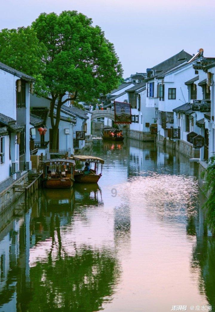 88影视