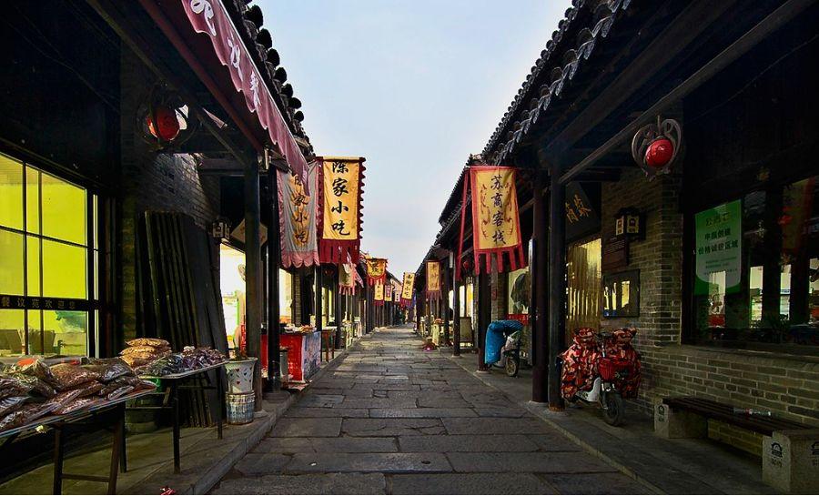 探索鸽子怎么吃最有营养知识星球,专注分享精彩内容