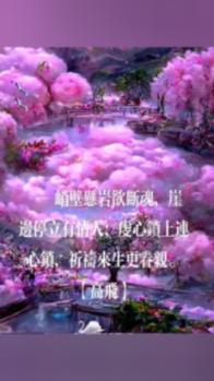 街篮高手
